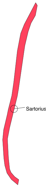 The image shows a red arrow pointing to an unidentified location on what appears to be a map of Sagittarius constellation in space.