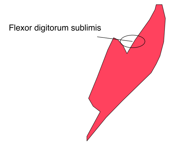 The image shows a simple line drawing of an abstract shape resembling a stylized map with red coloring on it against a white background.