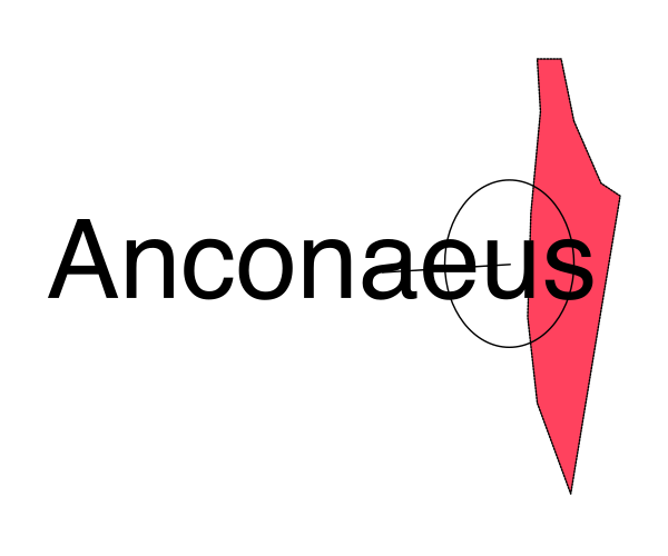 The image shows a logo with text that reads "Anconaeus" on top of an abstract design resembling a map fragment in red against a white background at the bottom right corner.