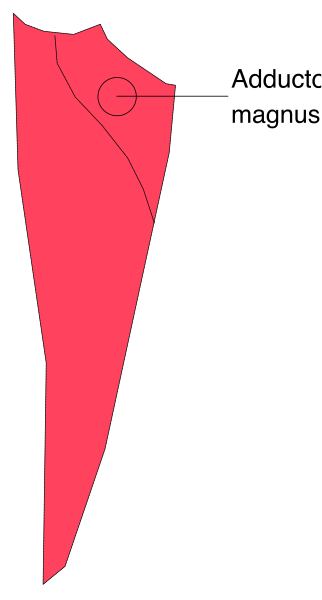 The image shows a red flag with an arrow pointing to it from above on what appears to be a white background.