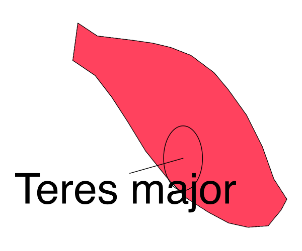 The image shows a red car with text that reads "TERES MAJOR" on it against an unrelated background of what appears to be a blurred landscape scene in shades of brown and green.