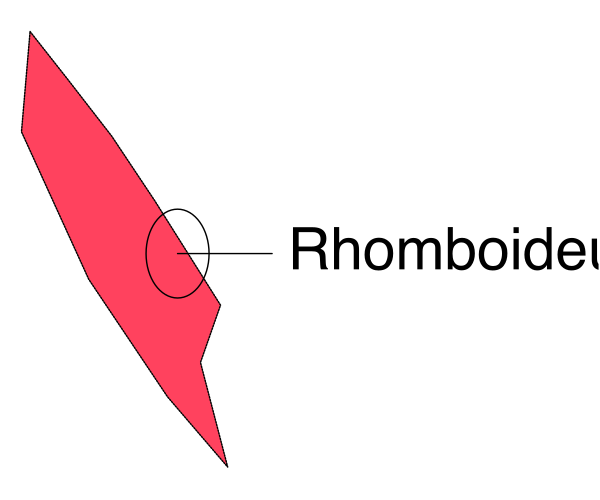 The image shows a simple diagram with two red arrows pointing to different locations on what appears to be an abstract map of some sort; one arrow points towards "RHUMBODIDE" labeled in black text, and another is nearer but not fully visible within this cropped section of the larger graphic.