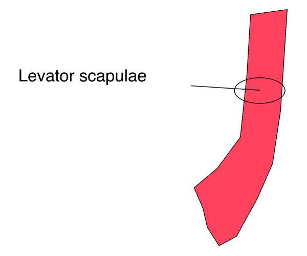 The image shows a simple diagram of an elevator with its doors open to reveal scaffolding inside it.