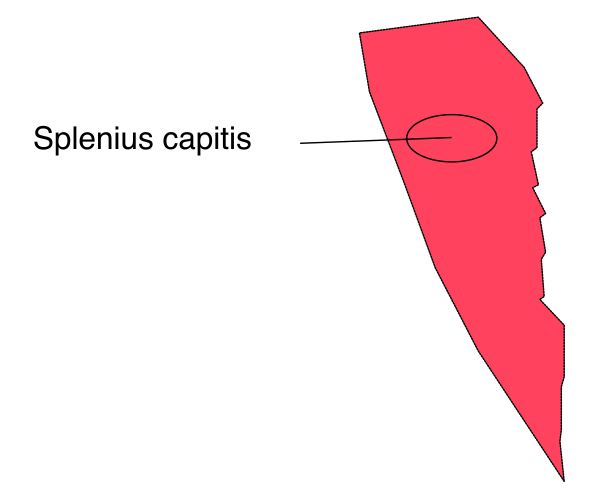 The image shows a map with an area highlighted by red coloring, indicating that it is of interest for some purpose such as geographic focus or emphasis on specific data points like population density or economic activity zones.