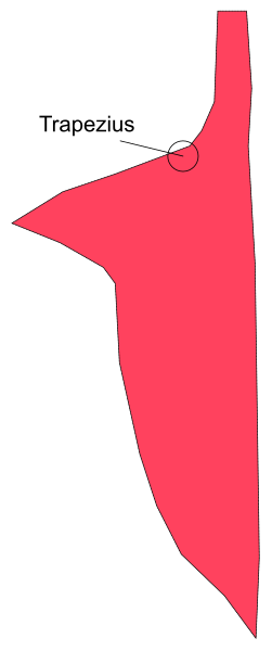 The image shows a red flag with white text on it that reads "TRAPZEUS," set against an American Flag background in black-and-white tones.