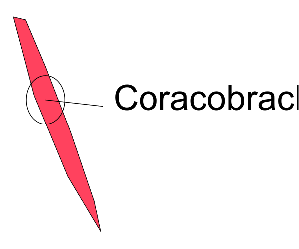 The image shows a red arrow pointing to an area labeled "Croacobrak" on what appears to be a map of some sort with geographical features like mountains in the background.