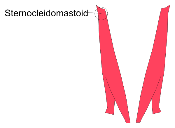 The image shows a red letter "M" with two vertical lines on either side of it against a white background.