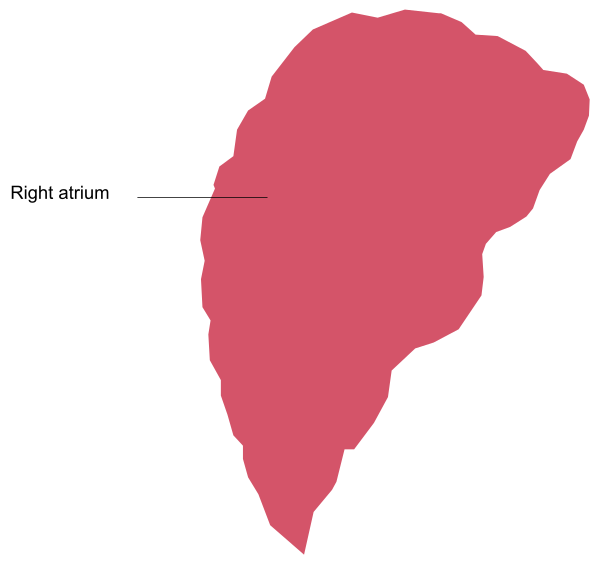 The image shows a red shape labeled as "light attrium" with an arrow pointing to it from another point on its right side that is marked by two lines intersecting at one end of each line forming a cross, indicating some sort of directional guidance or pathway within this structure.