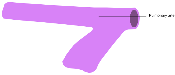 The image shows a purple line with two black dots on it against a white background; there is no text present within this small clip-art picture.