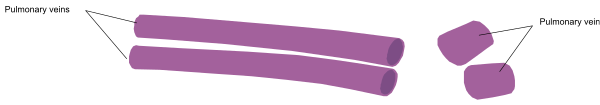 The image shows a purple line with two black dots on it against a grey background; there is no text present to provide additional context about what might be represented by these elements in this clip-art illustration.