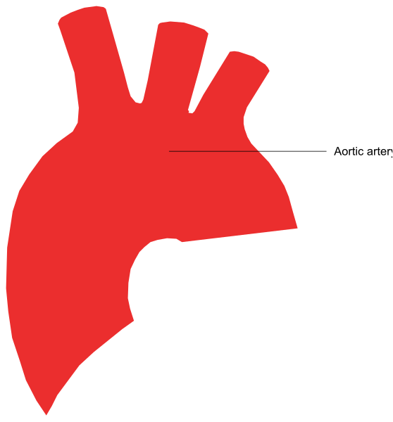 The image shows a red heart shape with an arrow pointing to it labeled "aortic artery."
