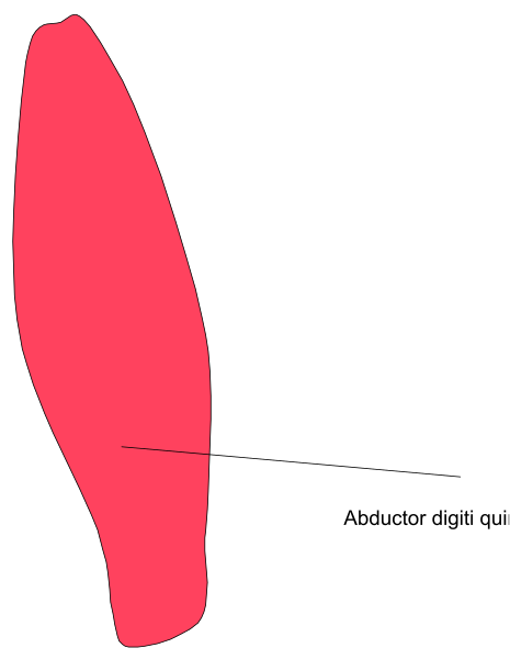 The image shows a red shape with an arrow pointing to it labeled "abductor" on top of another object that is partially obscured by the first one; there's also text at bottom right corner reading "digit quick."
