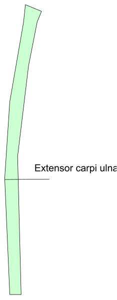 The image shows a split screen with two different scenes: on top, there is an outdoor scene featuring what appears to be a person standing in front of trees; below that, inside another frame within this one, we see a close-up view of someone's hand holding up their index finger and thumb.