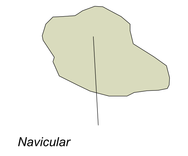 The image shows a simple black and white map with two labeled land masses: "nava" on top left corner of an island-like shape and "navicular" below it to its right side.