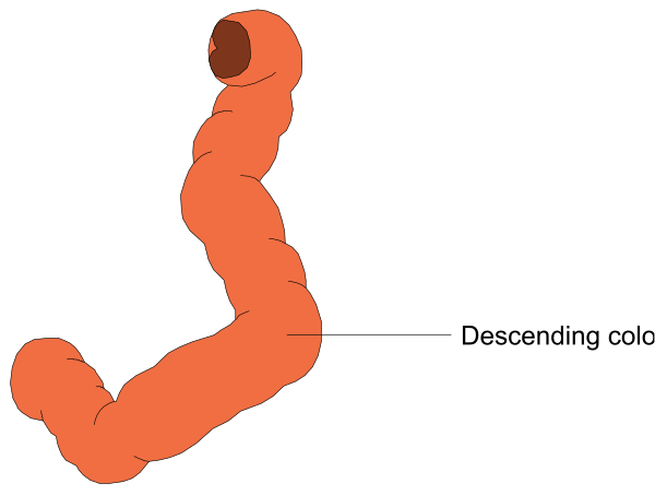The image shows a red worm with two eyes on its head winding through what appears to be an underground tunnel-like structure in a white background.