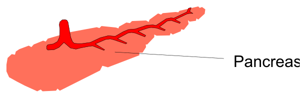 The image shows a map with various locations marked by red dots connected to each other forming an abstract pattern against a white background; there is no text present in this clip-art image.