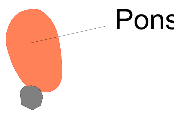 The image shows a simple cartoon of two red circles with black dots inside them on top of each other against an orange background.