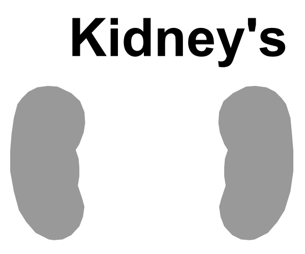 The image shows a black silhouette of two kidneys with an overlaid text that reads "KIDNEY'S" in white letters above them.