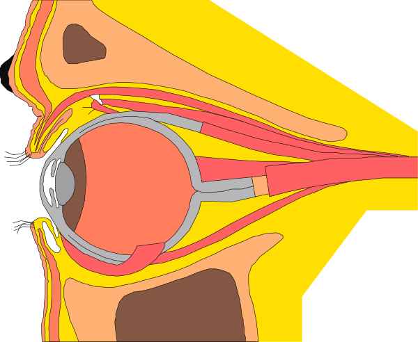 The image shows a closeup of an eye with various medical instruments around it against a black background.
