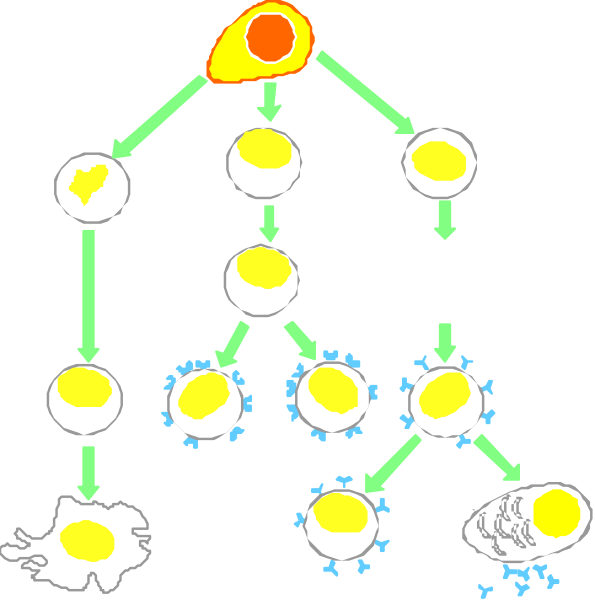 The image shows a cartoon representation of an egg cell cycle with various stages labeled as "Egg," "Fertilization," "Division," etc., depicting how cells divide to form new ones, and it includes illustrations like sperm fertilizing eggs or the process of mitosis.