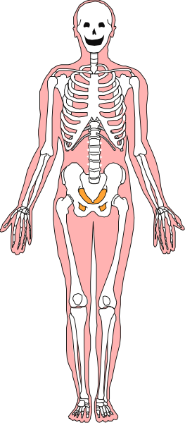The image shows a skeleton with an orange heart on its chest standing against a black background.