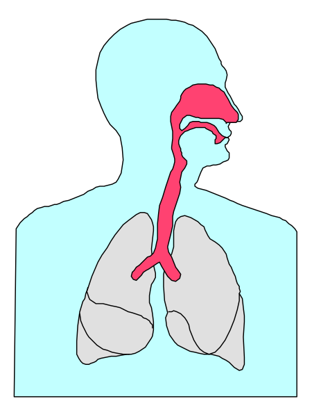 The image shows a cartoon of an adult male with his mouth open to reveal teeth inside; he has dark hair on top of his head, is wearing glasses over eyes that appear closed in sleep mode, and there's no visible clothing other than what might be implied by the skin tone. His nose appears small compared to its usual size due to perspective distortion from a close-up viewpoint. The background behind him has been removed or obscured so it doesn't provide any additional context about setting or environment beyond being indoors, possibly in front of an audience given his open mouth