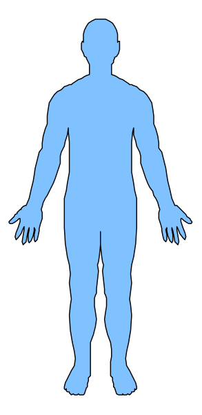 The image shows a blue silhouette of an adult human figure standing upright with arms at sides against a dark background.