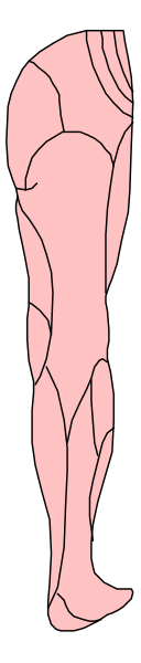 The image shows a split view of two different scenes: on top, there is an illustration of a person's torso with their back facing forward; below it, another scene depicts what appears to be a humanoid figure standing in front of a wall or surface that has the same pink lines as seen above.