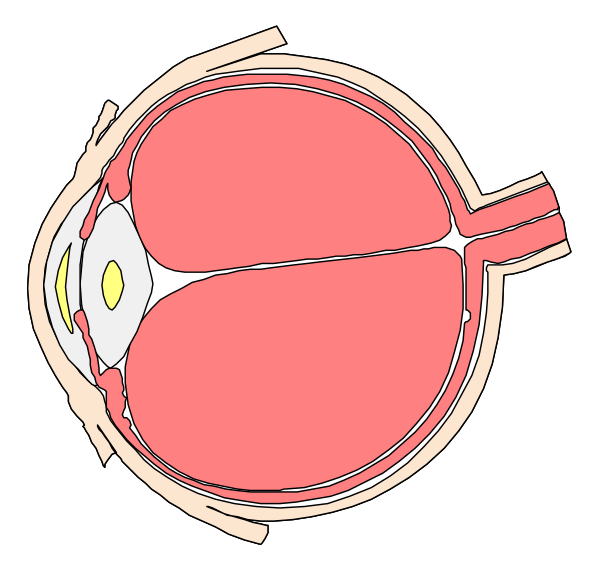 The image shows a simplistic illustration of an eye with its lid open to reveal part of the eyeball's interior structure in shades of red and pink against a black background.