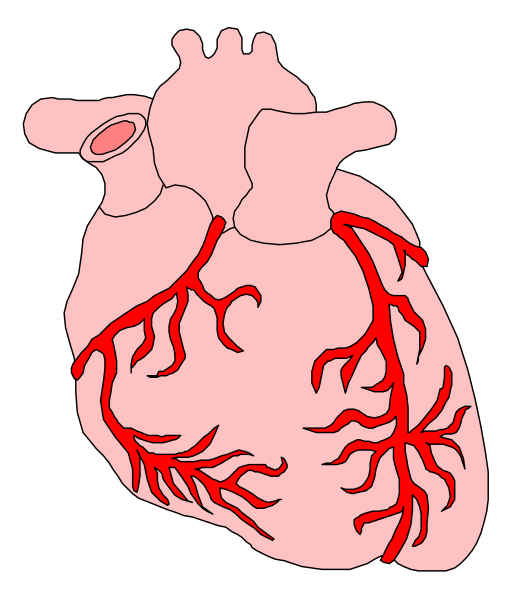 The image shows a stylized illustration of an open human heart with red veins against a black background.