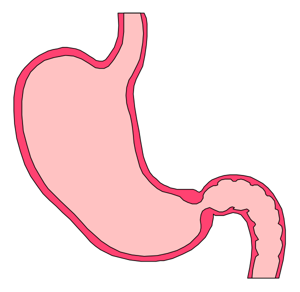 The image shows a stylized illustration of an open human stomach with its internal structure visible against a black background.