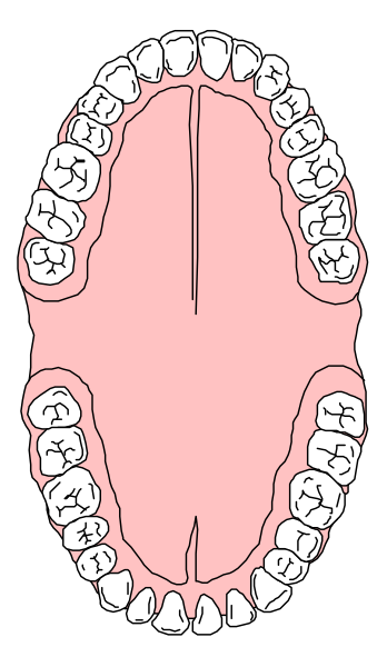 The image shows a cartoon of an open mouth with teeth inside it against a black background.