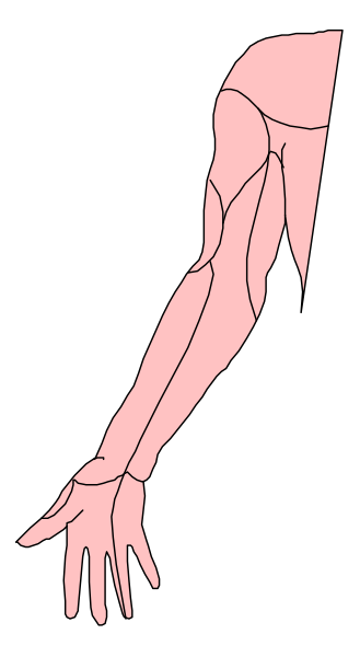 The image shows a black and white illustration of an arm with veins highlighted by pink lines against a dark background on the left side.