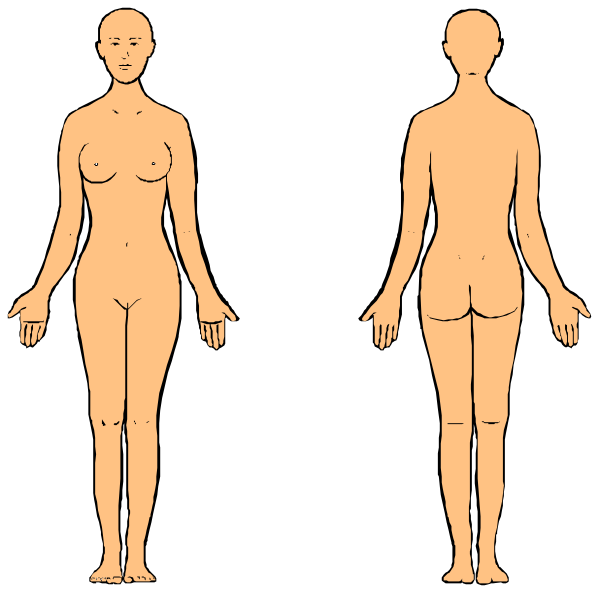 The image shows a side view of three human figures with different body types: on the left is an athletic build; in the middle is average size; to the right is overweight.