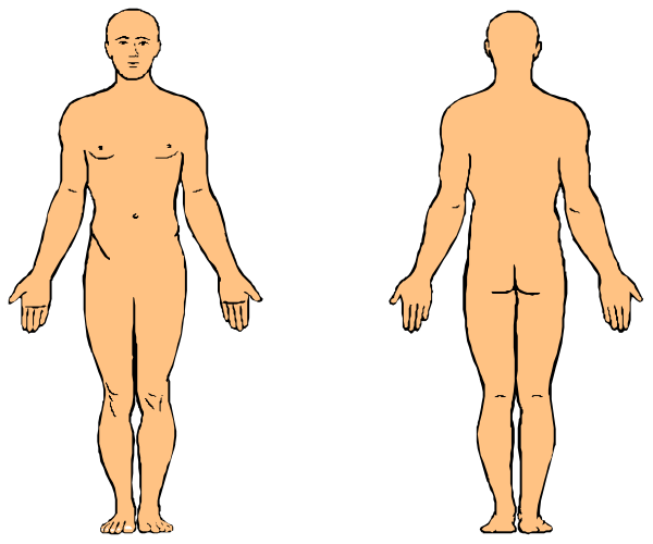 The image shows three human figures with stick figure limbs against a black background; each has anatomical details such as head, torso, arms, legs, hands, feet, fingers, toes, eyes, nose, mouth, and genitals depicted in white coloring on their bodies to represent the skeletal structure.