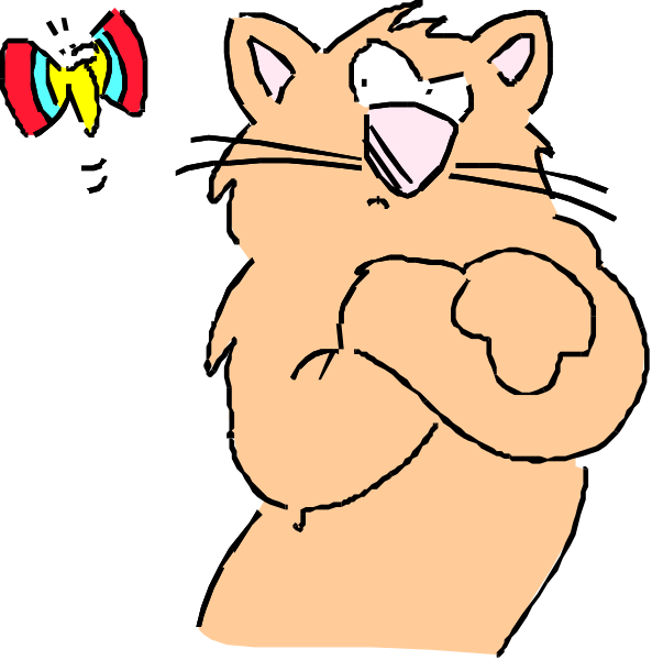 The image shows a cat with its arms crossed over itself against two different backgrounds: on top is black; below it's white.