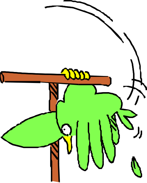 The cartoon shows a green parrot sitting on top of an open umbrella with its wings spread out as if it's flying indoors at nighttime.