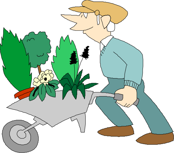 The cartoon depicts a man pushing two wheelbarrows filled with plants down an alleyway lined by buildings on both sides.