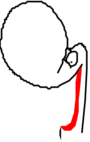 The image shows a closeup of an egg with eyes drawn on it peeking out from behind what appears to be a black object in front of which there is red text that reads "Egg."