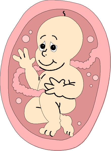The image shows a cartoon of an unborn baby inside its mother's womb with bubbles around it indicating amniotic fluid; there is no text present in this clip-art illustration.
