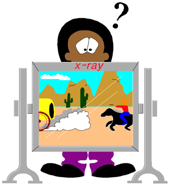 The cartoon shows a person standing next to an X-ray machine with their back turned towards it; there is also a horse in front of them on what appears to be a desert scene displayed within the monitor, and above this image hangs another smaller picture showing two people riding horses under cacti.