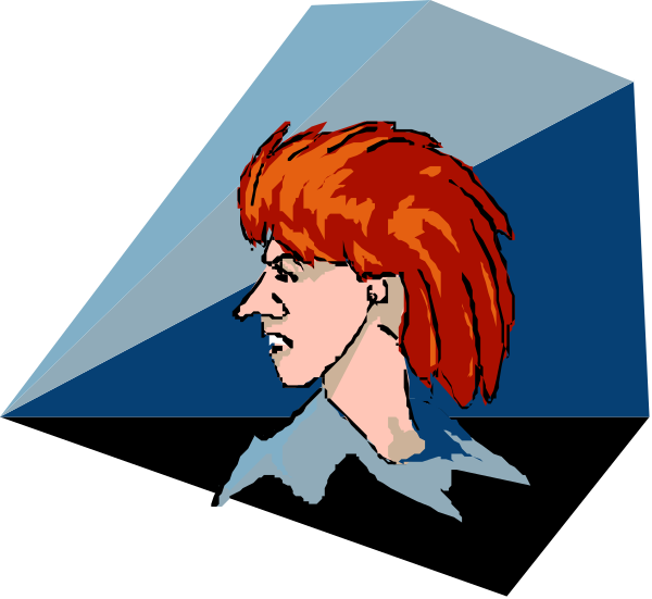 The image shows a stylized illustration of two animated characters with red hair against blue backgrounds; both have exaggerated facial expressions: one appears to be frowning while looking forward, and another is smiling broadly at an angle towards us.