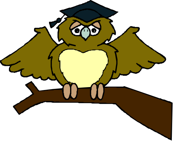 The cartoon shows two owls sitting on a branch with an open book between them; both birds have large eyes and one has its wings spread out while perched atop another bird that is holding onto it, suggesting companionship or partnership in learning.