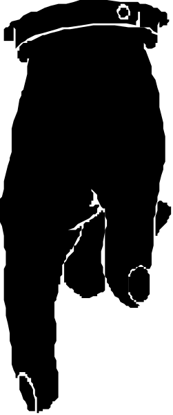 The image shows a black and white photo of an object with multiple sections that resemble different parts of a human body; it is placed against a gray background within what appears to be a digital interface displaying pixelation, suggesting this might have been taken from a video game or computer screen.