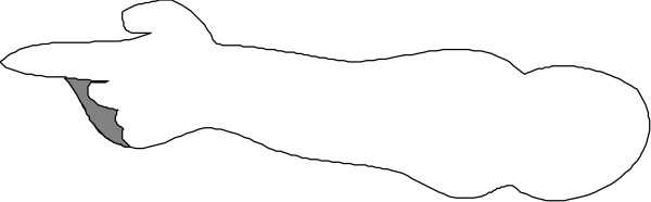 The image shows a blurry scene with an object that appears to be flying through space; it's difficult to discern any details due to its motion blur effect.