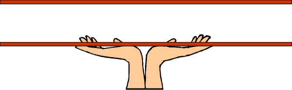 The image shows a close up of an eagle with its wings spread wide against a red background on top of what appears to be a black surface.