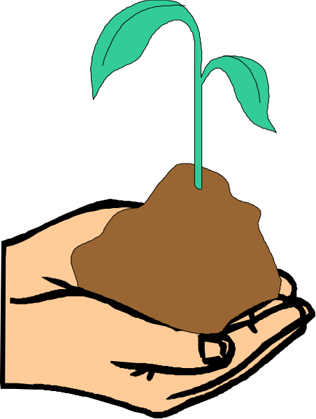 The image shows a hand holding an illustrated plant with roots that resemble soil blocks.