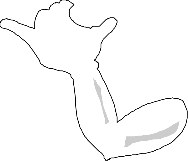 The black and white silhouette of a person's arm flexing with muscles extended to show strength.
