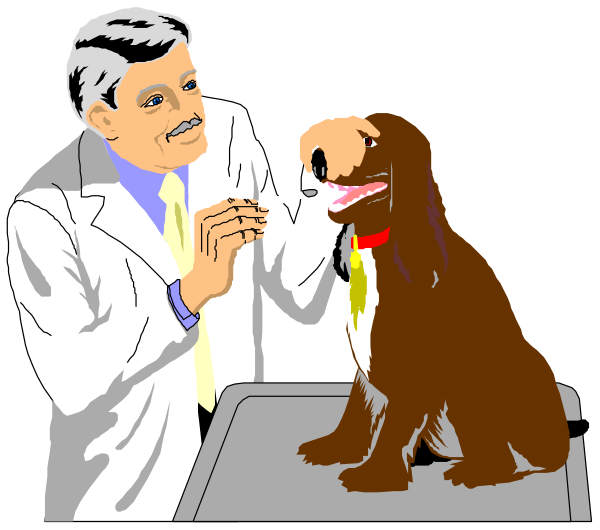 The image shows a veterinarian examining an animated dog at his desk with various medical equipment around them; there is also another person in white coat standing behind him observing the scene.