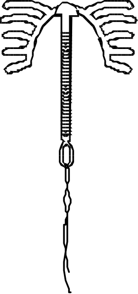 The image shows a closeup of an object with multiple branches extending from it against a dark background; there is no text present in this clip-art image.